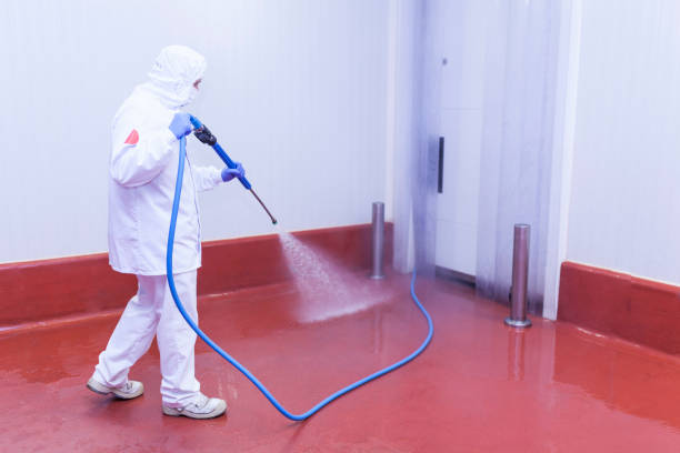 Reliable Oak Leaf, TX Pressure Washing Services Solutions